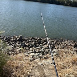 Waiting for a fishy fishy