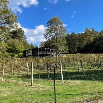 Hightower Creek Vineyards - a view of the vineyard - Wine Tasting Room Near Me - Hiawassee, Georgia