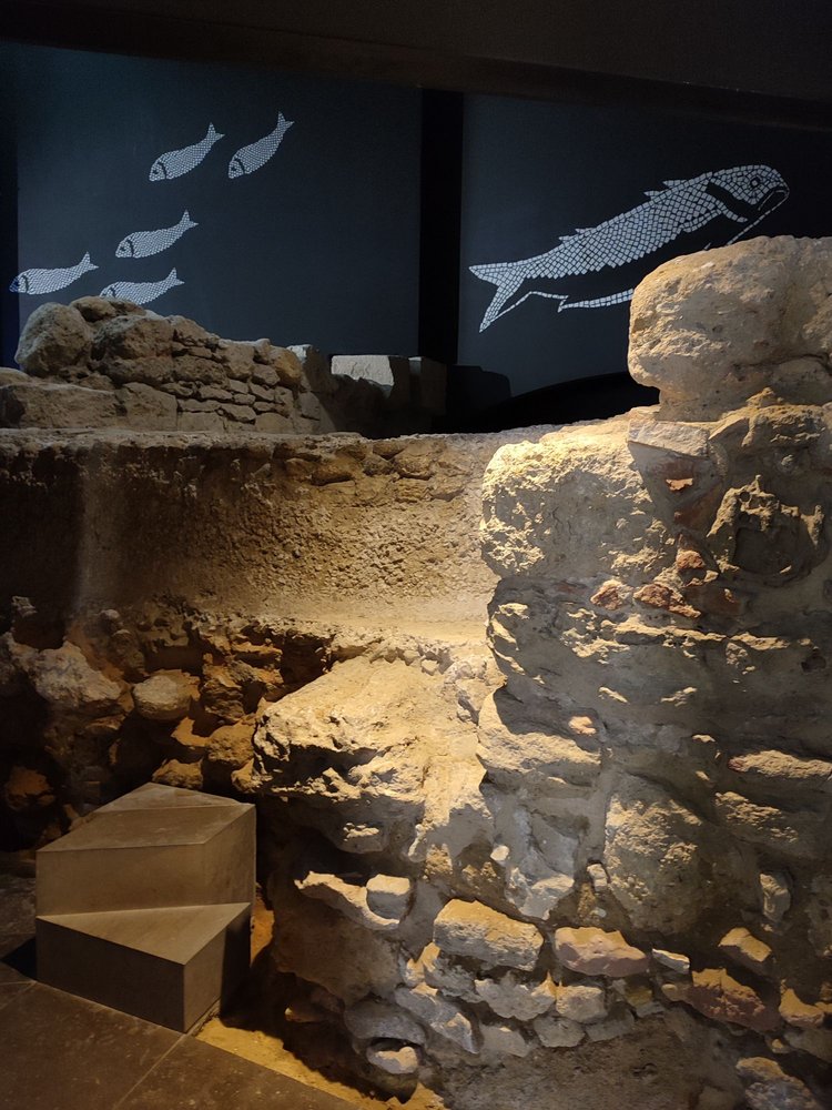 Fundação José Saramago