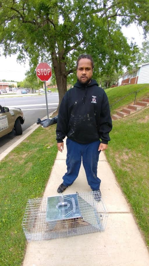 UNDERTAKER PEST CONTROL Updated May 2024 Washington, District of Columbia Pest Control