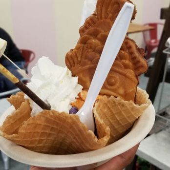 Sugar Koi - Fish waffle, ain't no fish inside. - Ice Cream & Frozen Yogurt Near Me - Cary, North Carolina Sugar Koi - Fish waffle, ain't no fish inside. - Ice Cream & Frozen Yogurt Near Me - Cary, North Carolina
