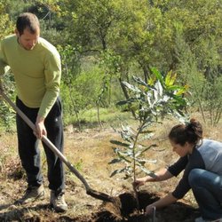 Creek Point Farms - Earth Day planting.