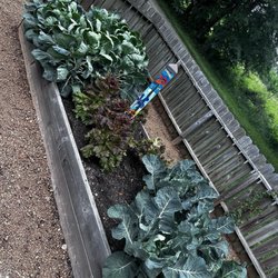 Sweetwater Farms - Garden with Collards Kale and Lettuce.