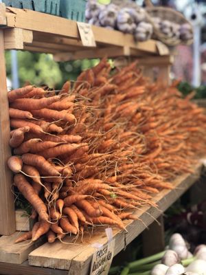 Salt Spring Saturday Market by null