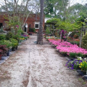 Philips Garden Store - Lots of fruit tress and border flowers too! - Nurseries & Gardening Near Me - Jacksonville, Florida