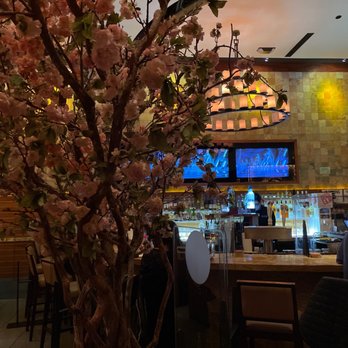 MoCA Asian Bistro - Bar area - Asian Fusion Near Me - Woodbury, New York MoCA Asian Bistro - Bar area - Asian Fusion Near Me - Woodbury, New York