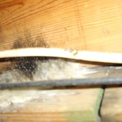 Gulf Coast Center for Indoor Air Quality Services - Found this during a mold inspection. Material data analysis showed it to be decomposed insulation.