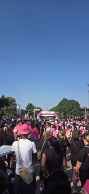 Military Park by null