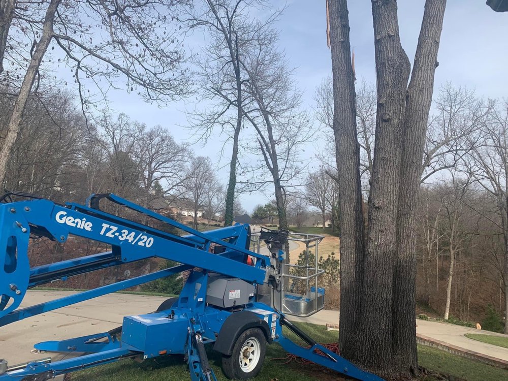 Mills Tree Service - tree service in Garfield, AR