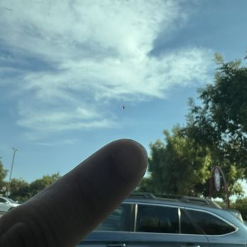 Cargenixs Auto Detailing - Theres a lot more of this but it was difficult to see in photos. - Car Wash Near Me - Santa Clara, California