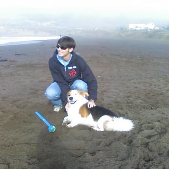 Rodeo Beach - Happy dog & man on the beach. - Beaches Near Me - Sausalito, California Rodeo Beach - Happy dog & man on the beach. - Beaches Near Me - Sausalito, California