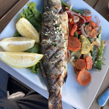Branzini Mediterranean - Excellent whole branzini - Mediterranean Near Me - St. Pete Beach, Florida