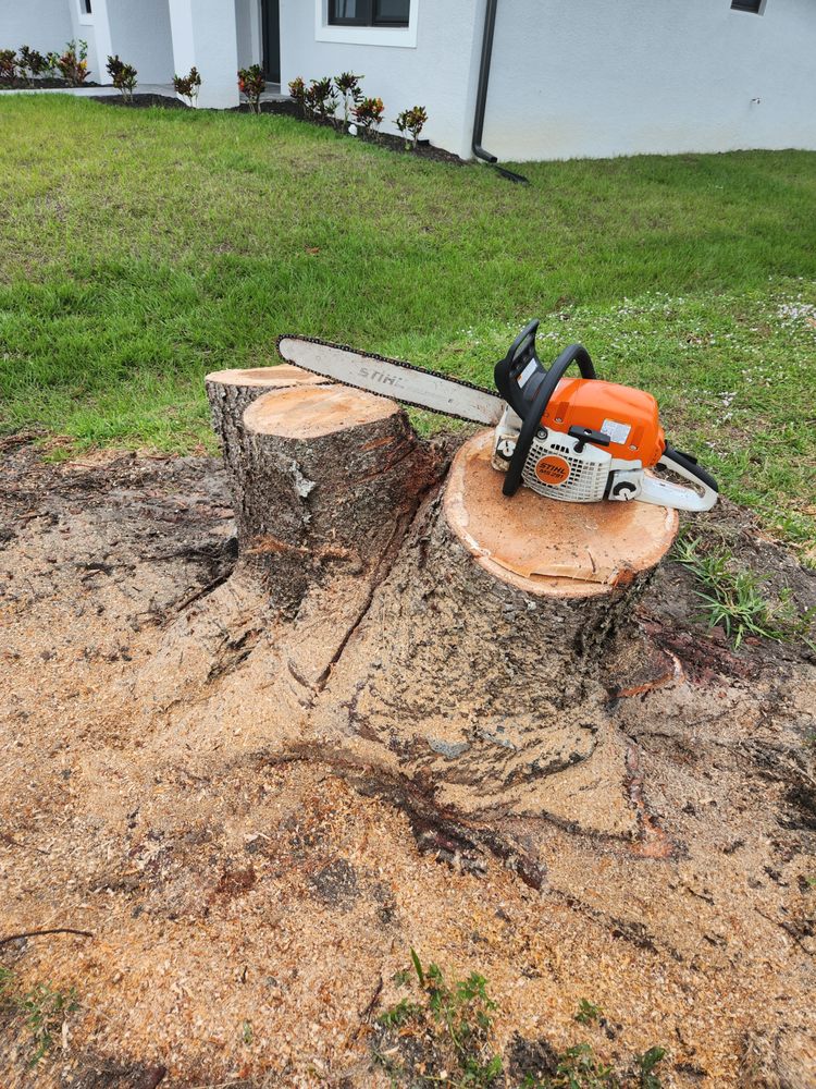 Slide of Greenbelt by Chdo