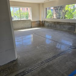 Lion's Mane Construction - Polish concrete floor in commercial office
