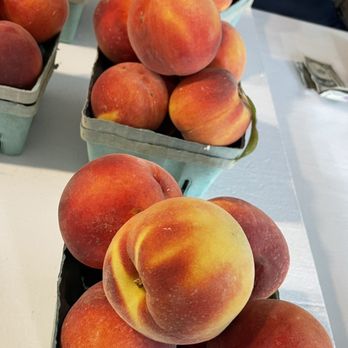 Pete's Snowballs - Fresh fruit and organic!! - Ice Cream & Frozen Yogurt Near Me - Columbia, Maryland Pete's Snowballs - Fresh fruit and organic!! - Ice Cream & Frozen Yogurt Near Me - Columbia, Maryland