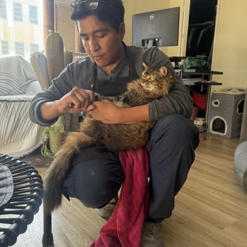 Awesome Pawesome Grooming - Pet Groomers Near Me