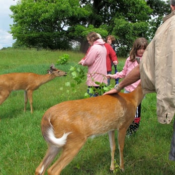 Pasture Prime Whitetail Deer Farm - 03 June 2012 - Zoos Near Me - Rush, New York