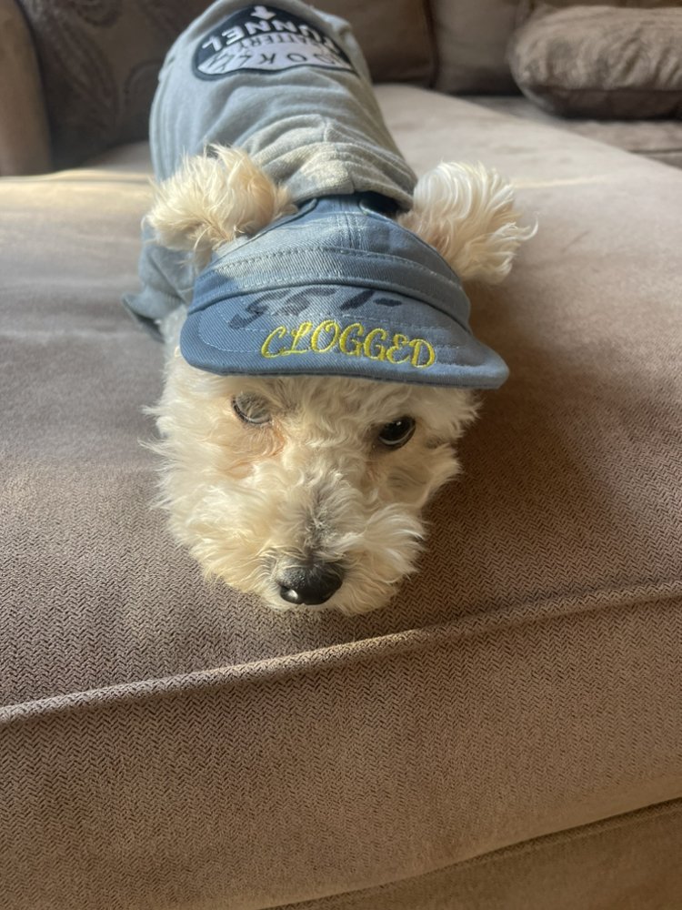 Slide of Clogged Sewer 911