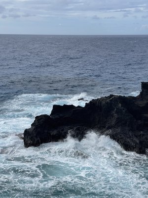 Roberts Hawaii Shore Excursions by null