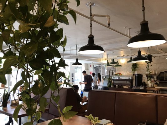 Moustache Café by null
