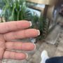 Photo of New Lily Nail Spa