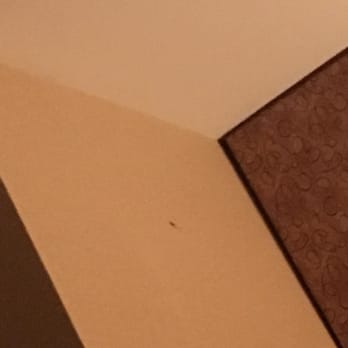 Comfort Suites Ontario Convention Center 2019 All You Need To