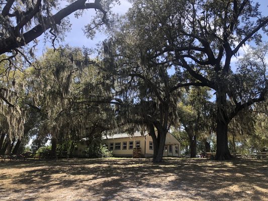 Munchies Live BBQ by null