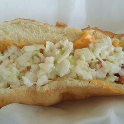 Sam's Hot Dog Stand-Lexington Green - W/Halls Beer Cheese and Slaw