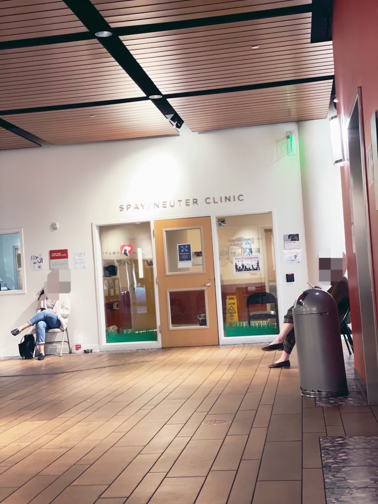 SAN FRANCISCO SPCA VETERINARY HOSPITAL MISSION CAMPUS 145 Photos