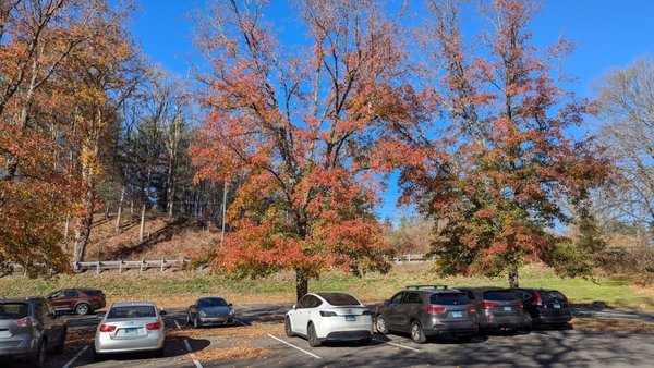 Kent Falls State Park by null