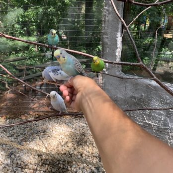 Southwick’s Zoo - Temp. CLOSED - 399 Photos & 215 Reviews - Amusement