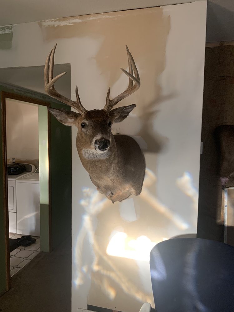 Gary Brown Taxidermy - taxidermy in Monroe, MI