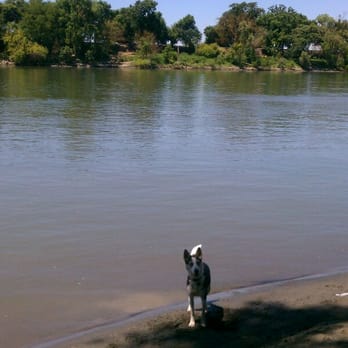 Garcia Bend Park - Great place for dogs. Lots of sandy beach to run along! - Parks Near Me - Sacramento, California Garcia Bend Park - Great place for dogs. Lots of sandy beach to run along! - Parks Near Me - Sacramento, California