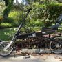 Photo of Bicycle Sport