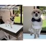 Photo of Heavenly Pet Grooming