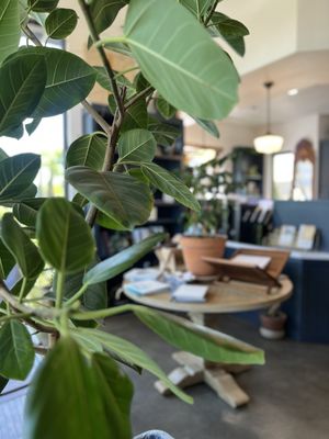 Austin's Coffee Crafters by null