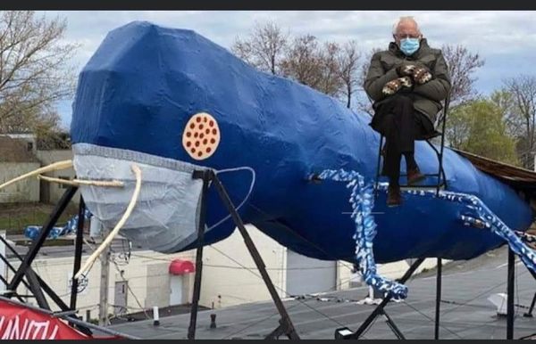 Big Blue Bug Solutions by null