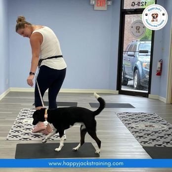 Happy Jack’s Pawsitive Dog Training - Pet Training Near Me - Mount Laurel, New Jersey Happy Jack’s Pawsitive Dog Training - Pet Training Near Me - Mount Laurel, New Jersey