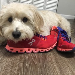 Fleet Feet - On Cloud X
