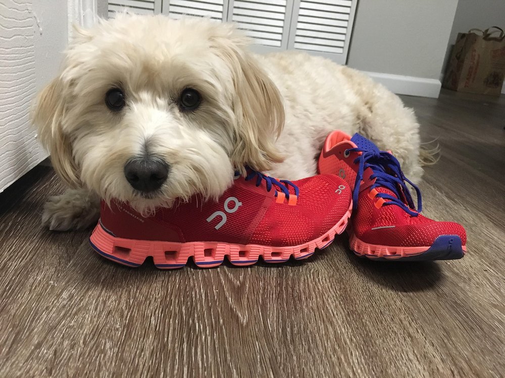 FLEET FEET Updated August 2024 10 Reviews 8965 E 116th St