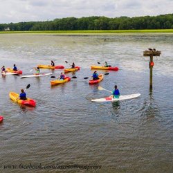 Potomac Boat Rentals