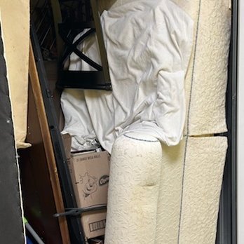 Dolly - Movers Near Me