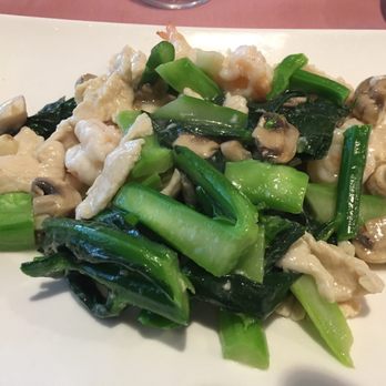 Panda House Chinese Restaurant - Chinese broccoli (not American !) shrimp chicken mushrooms. Fresh Garlic white sauce ! - Chinese Near Me - Stratford, Connecticut
