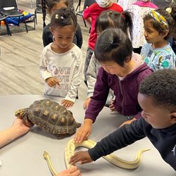 Supreme Kids Academy - Were learning all about reptiles this week.