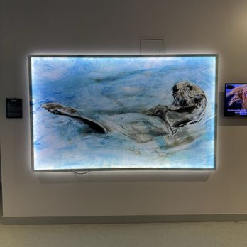 Clearwater Marine Aquarium - Aquariums Near Me - Clearwater, Florida