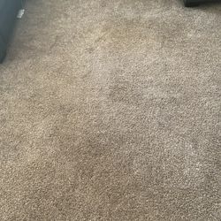 Oxi Fresh Carpet Cleaning - Cleaned carpet. They said to replace because couldn't be cleaned