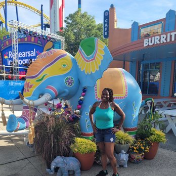 Carowinds - I love a good elephant - DST!!! - Amusement Parks Near Me - Charlotte, North Carolina Carowinds - I love a good elephant - DST!!! - Amusement Parks Near Me - Charlotte, North Carolina