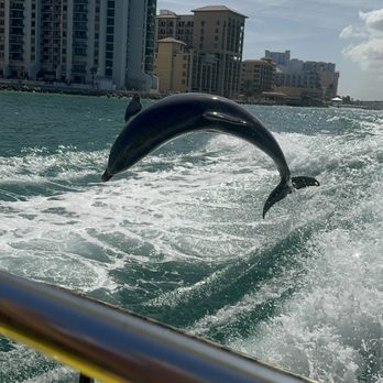 Sea Screamer - Boat Charters Near Me - Tampa Bay, Florida