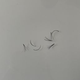 I brushed them maybe 2-3 times and these lashes fell off from one eye. It's only day 5 of having these lashes.
