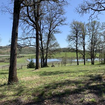 Johan Vineyards - Vineyard grounds. - Wineries Near Me - Rickreall, Oregon